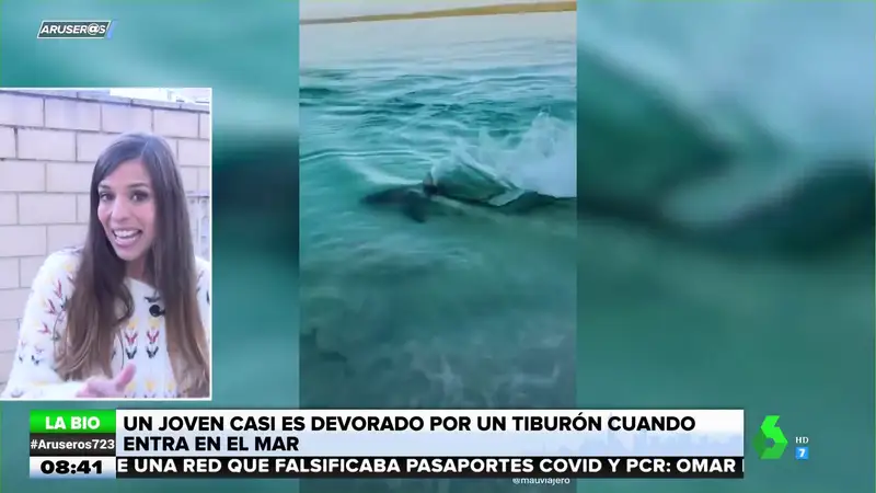La bióloga Evelyn Segura desmonta el ataque viral de un tiburón a un tiktoker: "No os dejéis engañar"