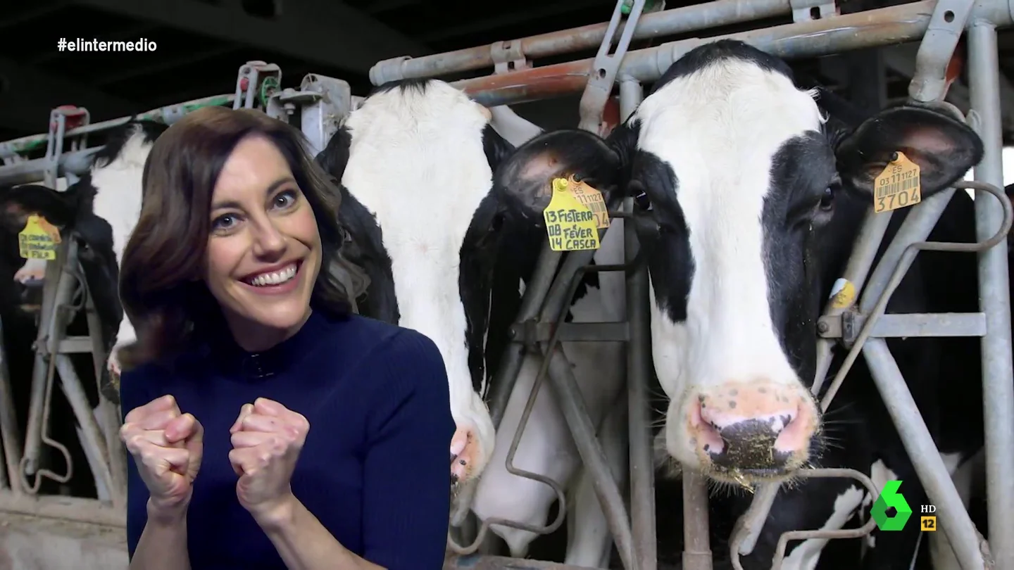 La irónica 'defensa' de Cristina Gallego de las macrogranjas: "Granja grande, aunque la vaca ande o no ande" La irónica 'defensa' de Cristina Gallego de las macrogranjas: "Granja grande, aunque la vaca ande o no ande"