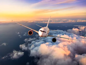 Vuelo de un avión Vuelo de un avión