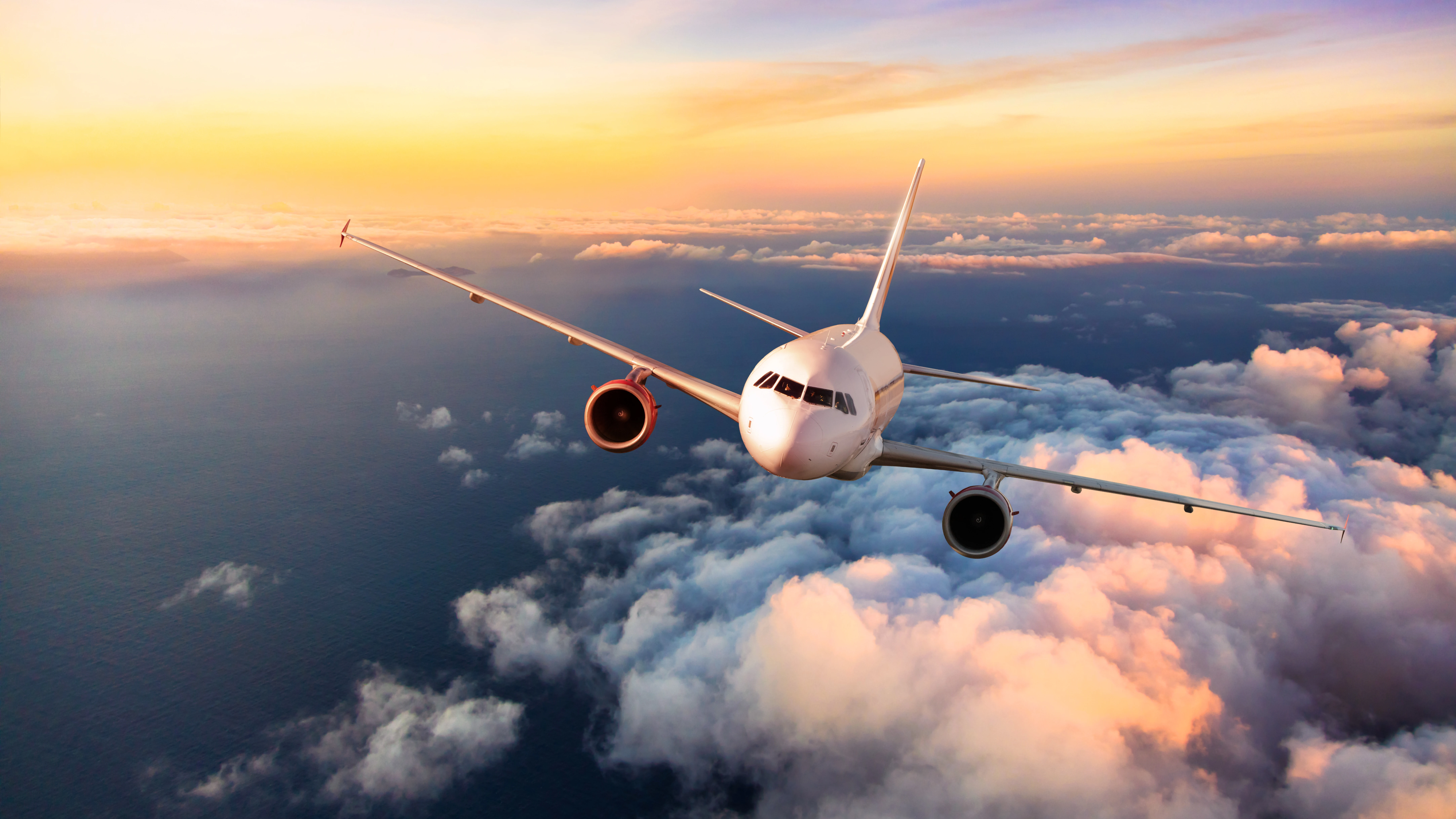 Vuelo de un avión Vuelo de un avión