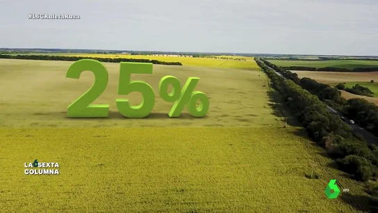 Subidas en el aceite de girasol o en la carne: así afectaría el conflicto en Ucrania a España Subidas en el aceite de girasol o en la carne: así afectaría el conflicto en Ucrania a España