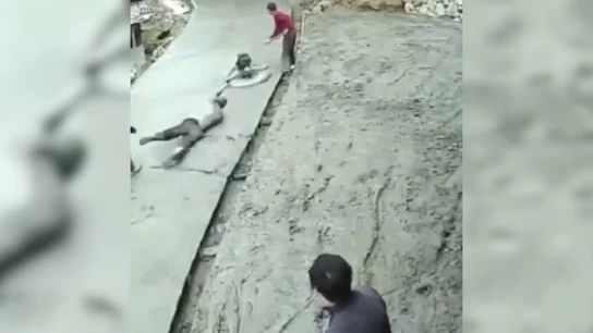 ALISADORA ALISADORA