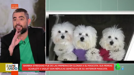 Dani Mateo Dani Mateo