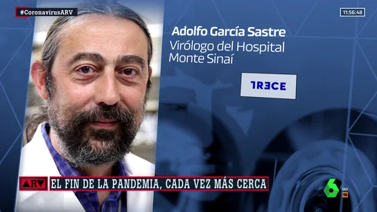 Un prestigioso experto pone fecha a la vuelta a la normalidad: "Finales de febrero" Un prestigioso experto pone fecha a la vuelta a la normalidad: "Finales de febrero"