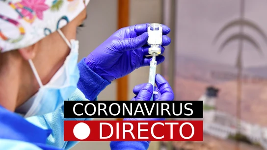 COVID-19 en España, hoy: última hora de coronavirus y la variante Ómicron, en directo COVID-19 en España, hoy: última hora de coronavirus y la variante Ómicron, en directo
