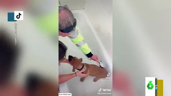 Así es la relación entre un hombre y el perro al que no quería ni ver Así es la relación entre un hombre y el perro al que no quería ni ver