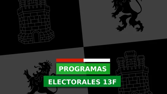 Castilla y León: Estos son los programas electorales del PP, PSOE, VOX, Ciudadanos, Podemos, UPL y Soria Ya Castilla y León: Estos son los programas electorales del PP, PSOE, VOX, Ciudadanos, Podemos, UPL y Soria Ya