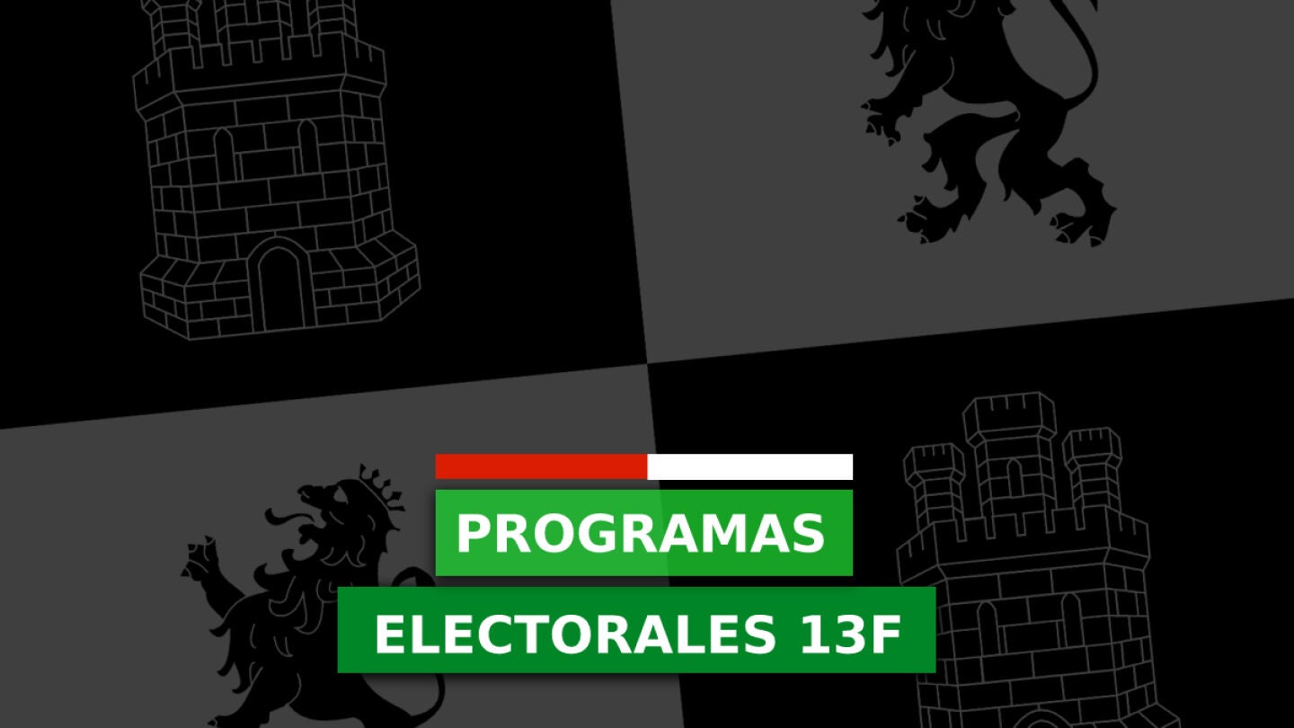 Castilla y Le&oacute;n: Estos son los programas electorales del PP, PSOE, VOX, Ciudadanos, Podemos, UPL y Soria Ya 