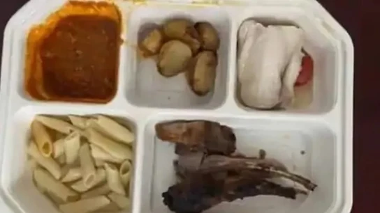 La comida de Valeria Vasnetsova La comida de Valeria Vasnetsova