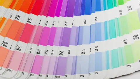 Gama de colores de Pantone PALETA DE COLORES