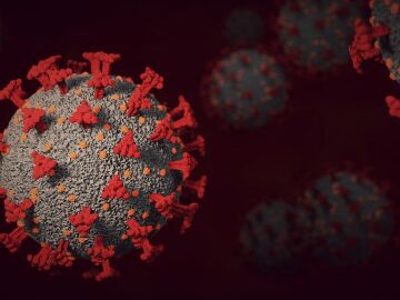 coronavirus SARS-CoV-2