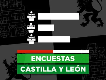 ¿Quién ganará las elecciones en Castilla y León? Este será el resultado, según las encuestas