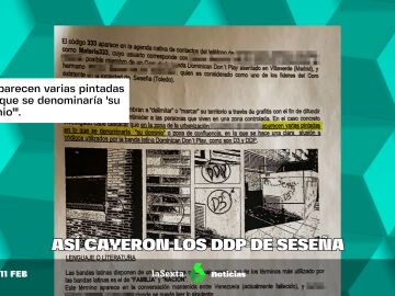 DDP Seseña