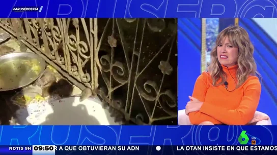 Templo ratas india Templo ratas india