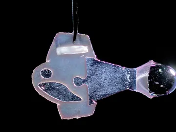 Pez biohíbrido Pez biohíbrido