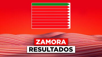 Resultados de las elecciones en Castilla y León en la ciudad de Zamora
