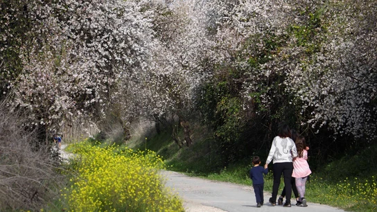 Una familia pasea en la Vía Verde de la sierra de subbética de Córdoba Una familia pasea en la Vía Verde de la sierra de subbética de Córdoba