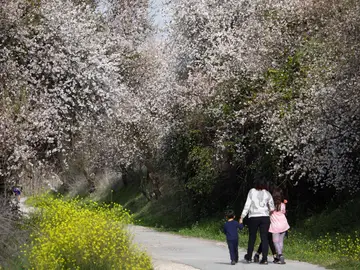 Una familia pasea en la Vía Verde de la sierra de subbética de Córdoba