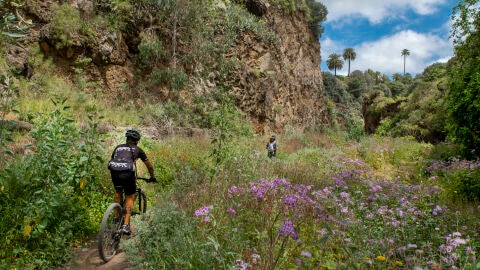 Sendero de Guiniguada