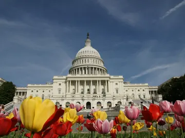 La Casa Blanca: 6 curiosidades que te no te dejarán indiferente La Casa Blanca: 6 curiosidades que te no te dejarán indiferente