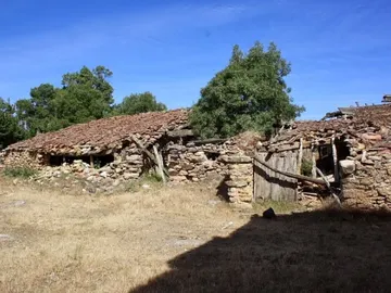 Matandrino Matandrino