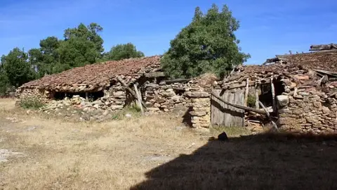 Matandrino Matandrino