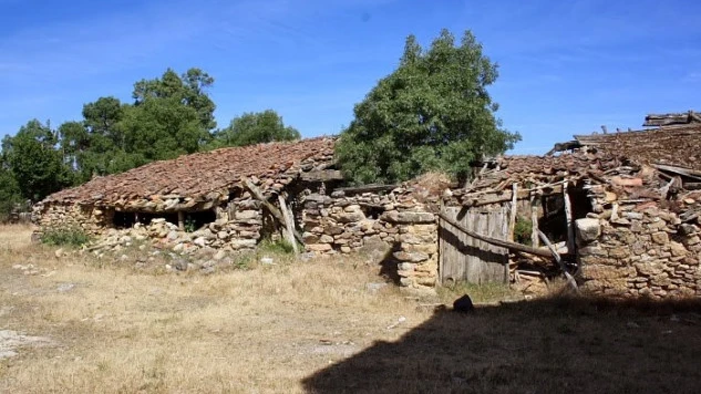 Matandrino