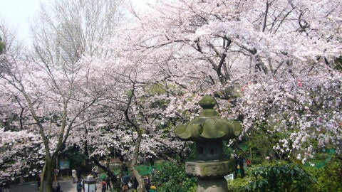 Parque Ueno