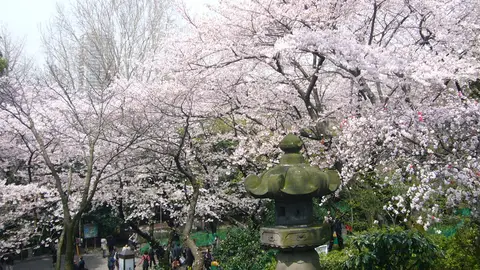 Parque Ueno Parque Ueno