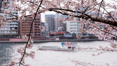 Parque Sumida