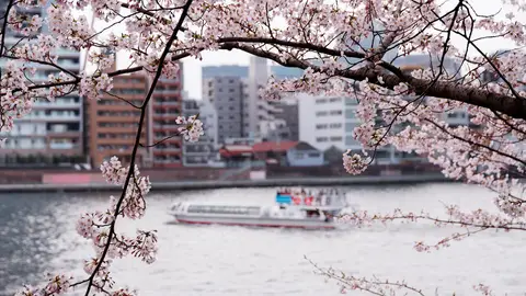 Parque Sumida Parque Sumida