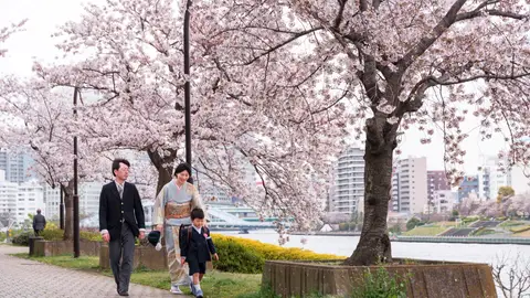 Parque Sumida Parque Sumida