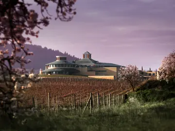 ¿Sabías que una de las mayores colecciones de sacacorchos del mundo está en La Rioja? ¿Sabías que una de las mayores colecciones de sacacorchos del mundo está en La Rioja?