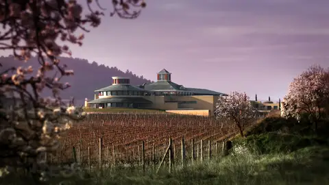 ¿Sabías que una de las mayores colecciones de sacacorchos del mundo está en La Rioja? ¿Sabías que una de las mayores colecciones de sacacorchos del mundo está en La Rioja?