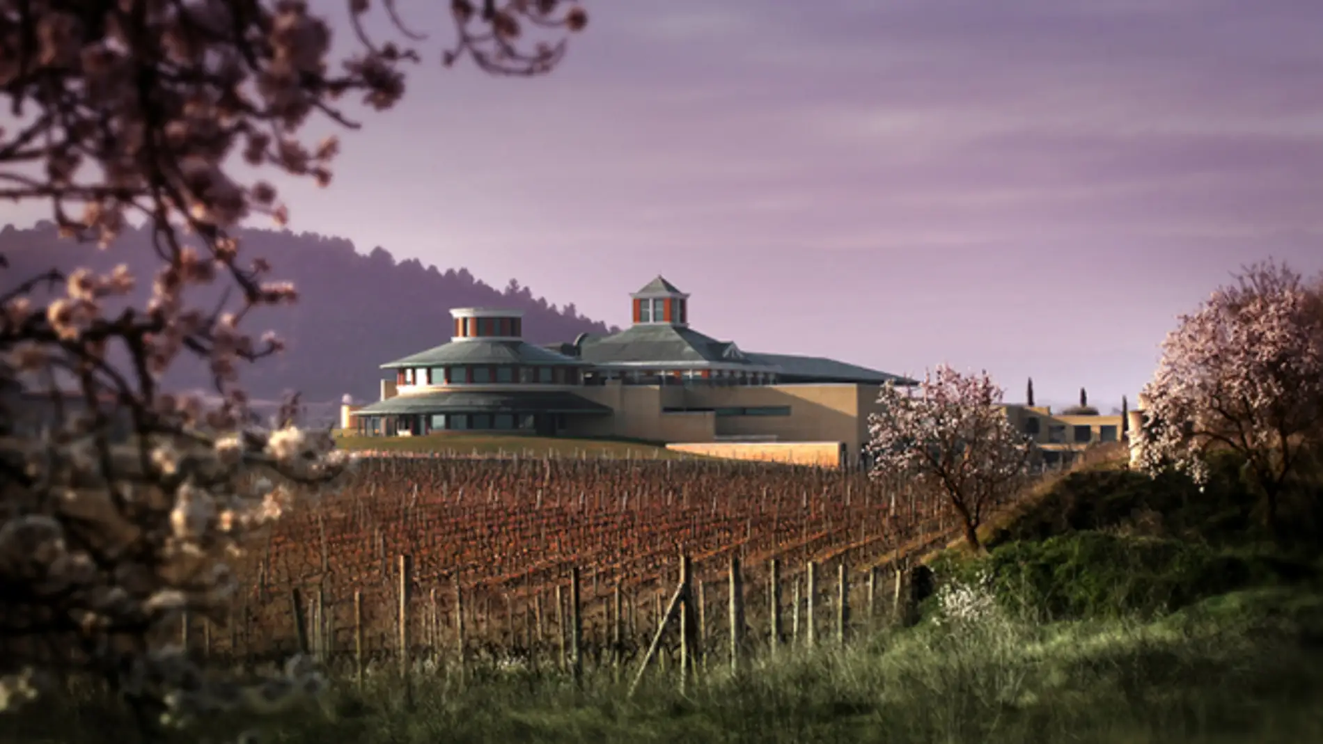 ¿Sabías que una de las mayores colecciones de sacacorchos del mundo está en La Rioja?