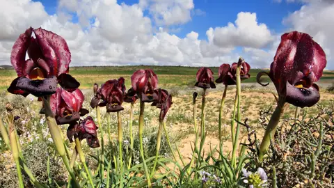 Reserva de Iris Reserva de Iris