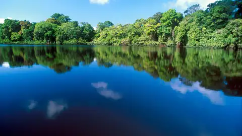 Tortuguero Tortuguero