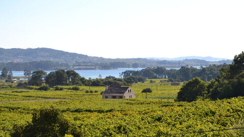 Rías Baixas