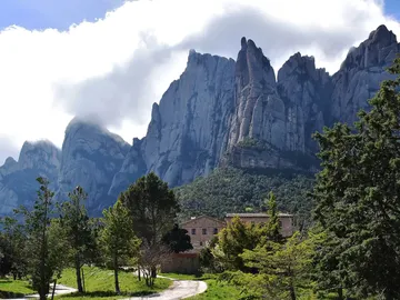 La sequia rompe dos anos de bonanza en los bosques catalanes La sequia rompe dos anos de bonanza en los bosques catalanes