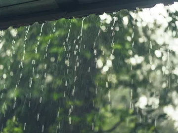 Lluvia Lluvia