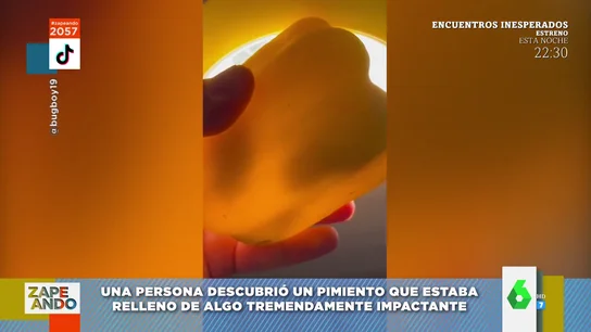 Pimiento relleno Pimiento relleno