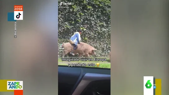 El surrealista vídeo de un niño cabalgando sobre un cerdo El surrealista vídeo de un niño cabalgando sobre un cerdo