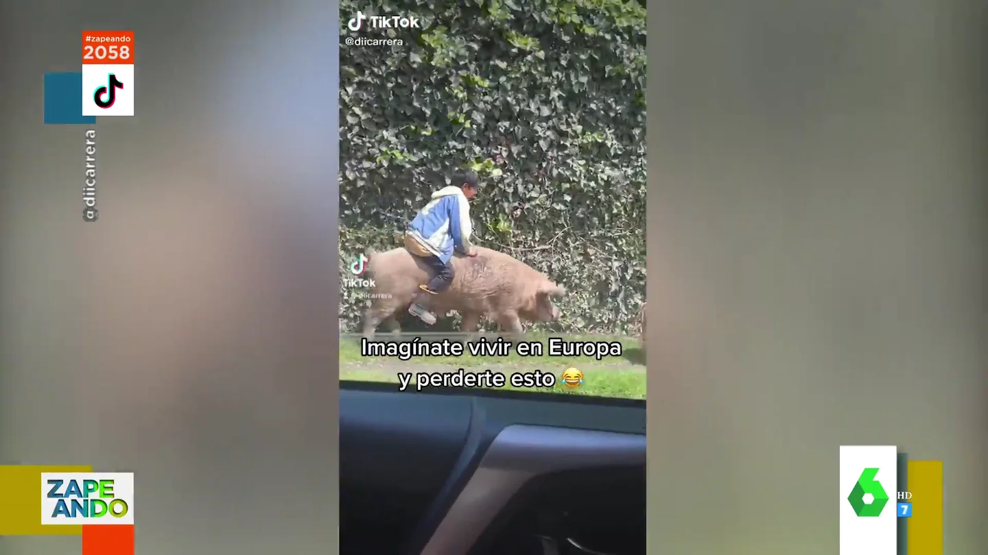 El surrealista vídeo de un niño cabalgando sobre un cerdo El surrealista vídeo de un niño cabalgando sobre un cerdo