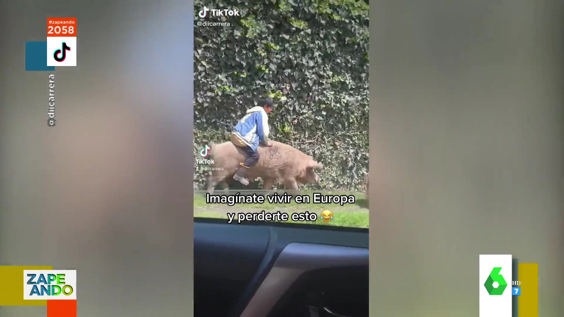 El surrealista vídeo de un niño cabalgando sobre un cerdo