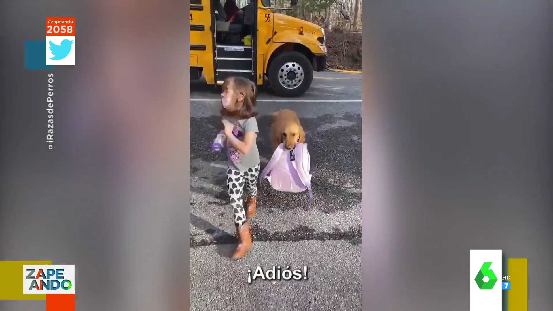 Perro con mochila niña