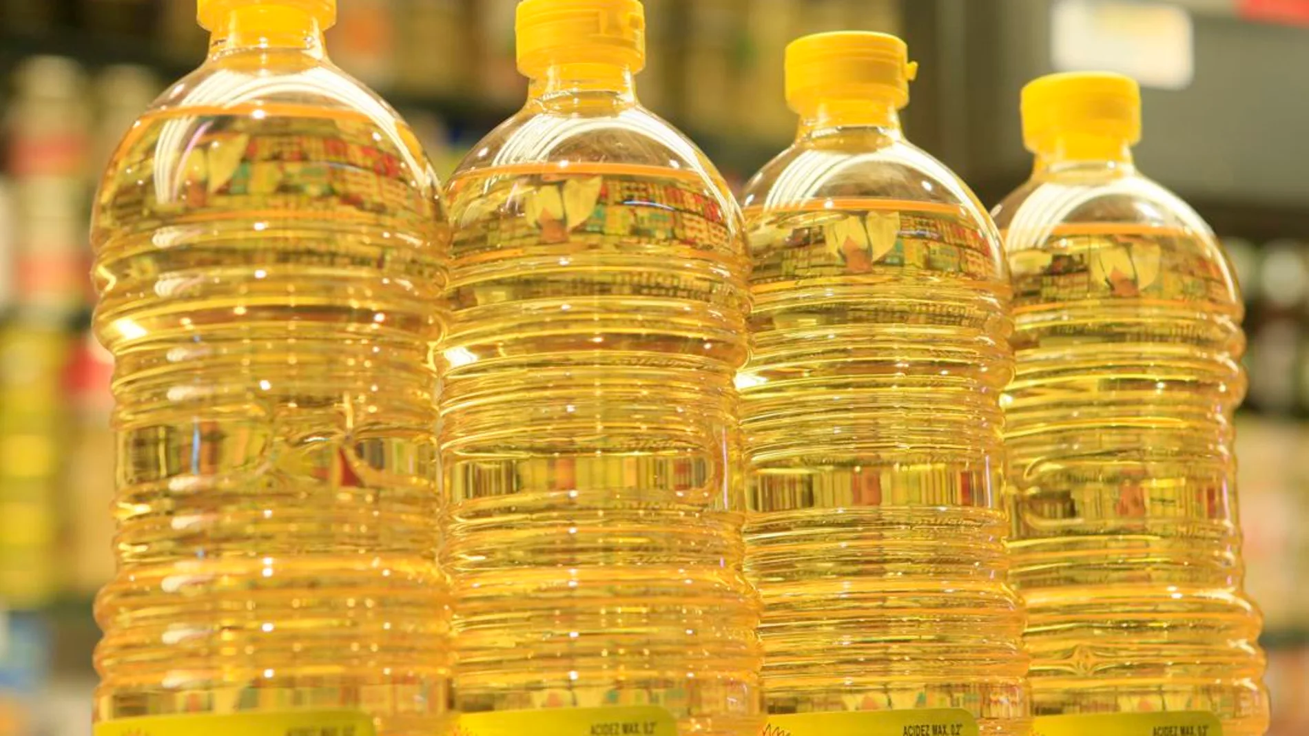 Por qué importamos aceite de girasol si España también lo produce en  cantidad?