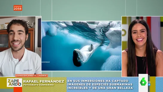 Fotógrafo submarino Fotógrafo submarino