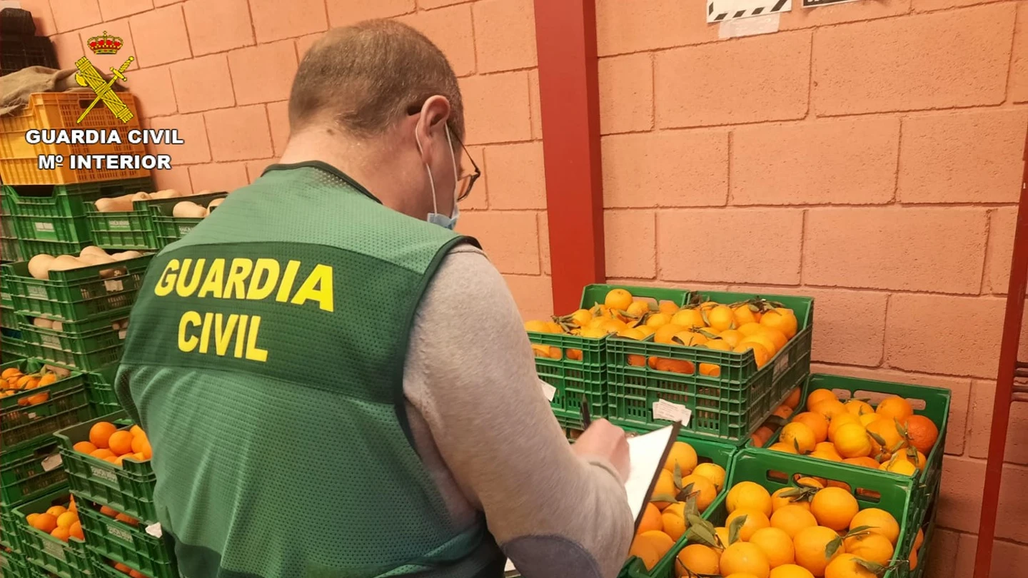 La Guardia Civil, interviniendo 20 toneladas de naranjas La Guardia Civil, interviniendo 20 toneladas de naranjas