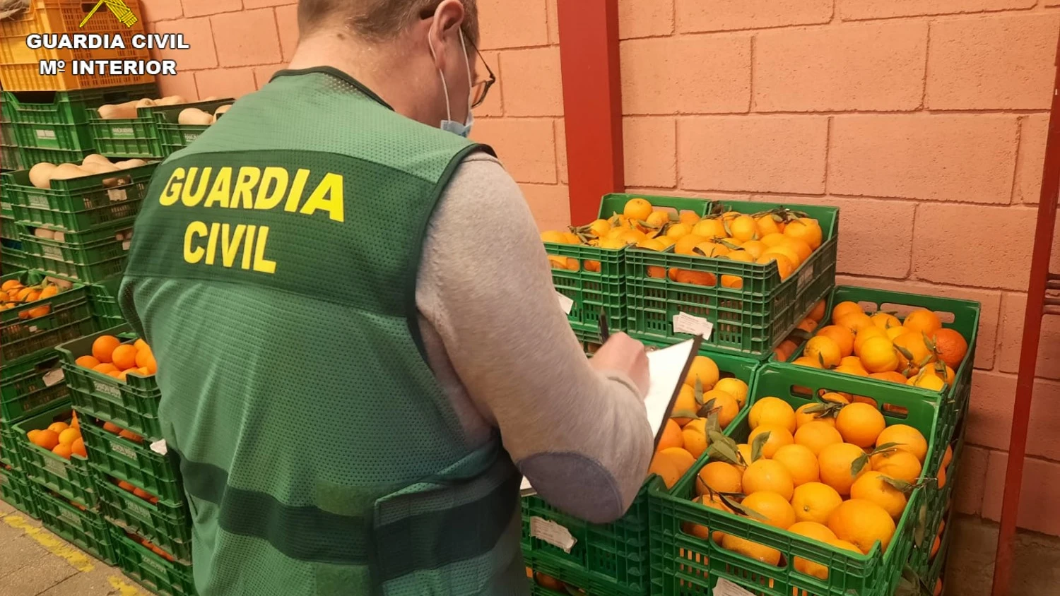 La Guardia Civil, interviniendo 20 toneladas de naranjas