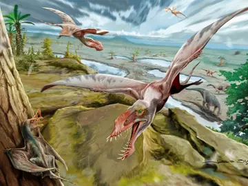 Pterosaurios Pterosaurios